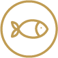 Peixe