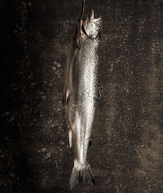 Peixe
